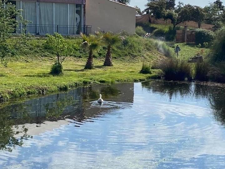 Hotel Complejo Rural El Prado Logrosán Zewnętrze zdjęcie